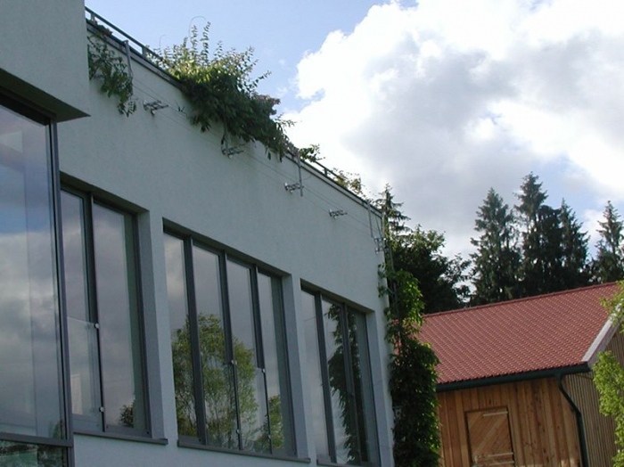 Fassade-Wand-Wohnhaus-Begrünung-Balkon-Dachterrasse-Bild 1-3-31