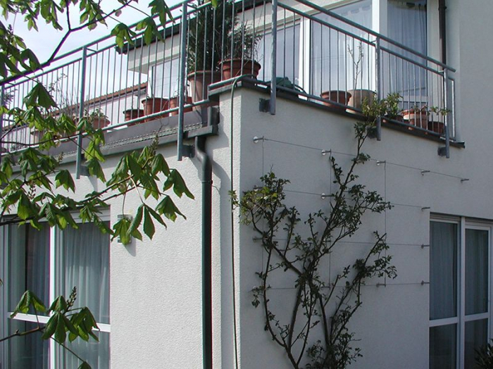 Fassade-Wand-Wohnhaus-Begrünung-Balkon-Dachterrasse-Bild 1-3-21