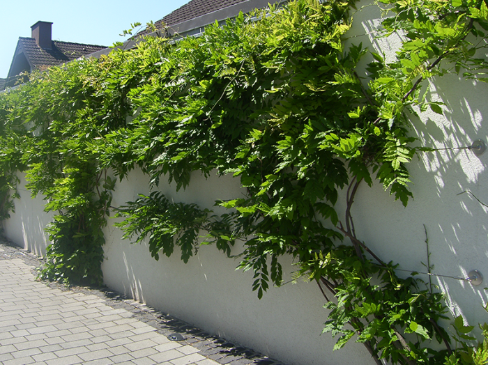 Gartenmauer-Stützwand-Lärmschutzwand-4-1-22