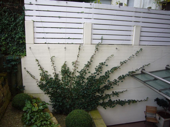 Gartenmauer-Stützwand-Lärmschutzwand-4-2-4