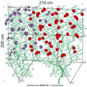 01-rankelement_B502-02