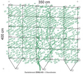 02-rankelement_D502-03