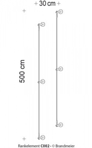 02-rankelement_c002_leer