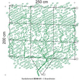 04-rankelement_B549-014