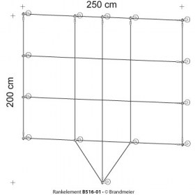06-rankelement_B516-01