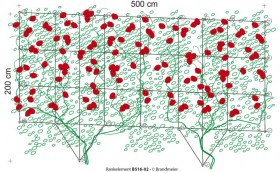 07-rankelement_B516-02