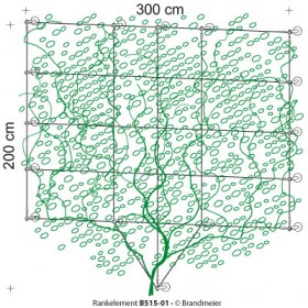08-rankelement_B515-01