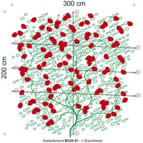 10-rankelement_B520-01