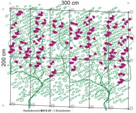 35-rankelement_B415-07