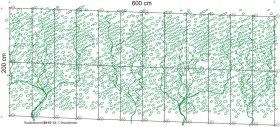 41-rankelement_B415-13