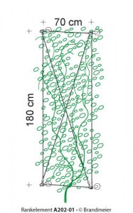 49-rankelement_A202-01