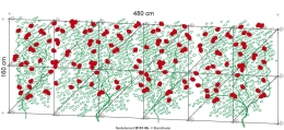 58-rankelement_b101-06