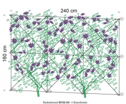 60-rankelement_b102-03