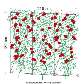 71-rankelement_B201-03