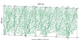 75-rankelement_b201-07