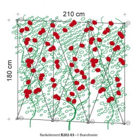 77-rankelement_B202-03