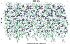 84-rankelement_B150-07