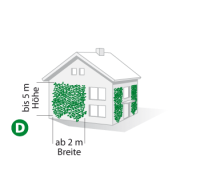 haus_d