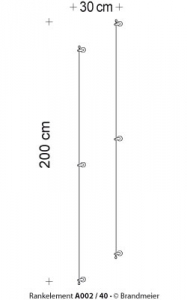 02-rankelement_a002_40_leer4