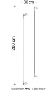 02-rankelement_a002_leer3