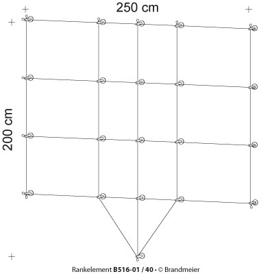 06-rankelement_b516-01_40