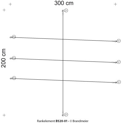 10-rankelement_b520-01_leer9