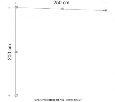 19-rankelement_b800-01_40_leer