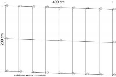 37-rankelement_b415-0958