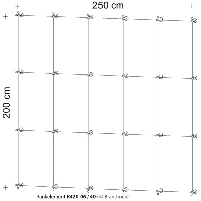 42-rankelement_b420-06_40