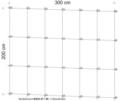 43-rankelement_b420-07_40_leer