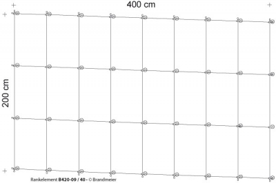45-rankelement_b420-09_40_leer