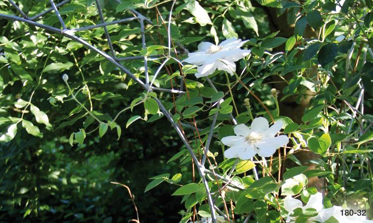 Rosenbogen-Set mit Rundbogen freistehend