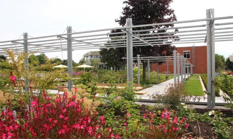 Pergola-Bausatz Serie 170 