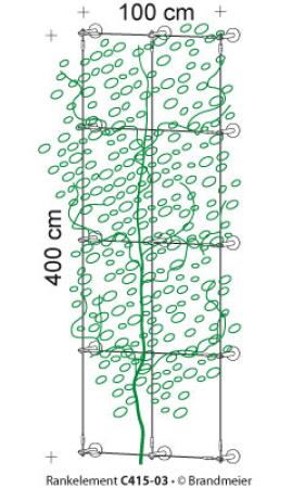 Begrünungssystem C415-03 mit Abstandhalter Serie 60