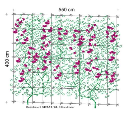 Begrünungssystem D420-12 mit Abstandhalter Serie 40